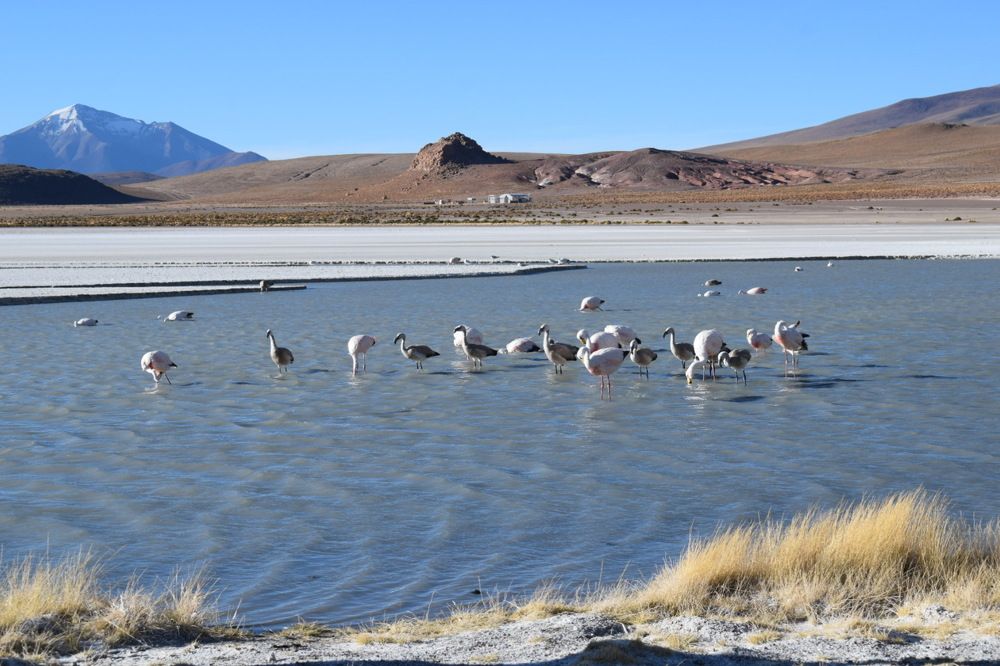 Photograph by Hazel Calvo