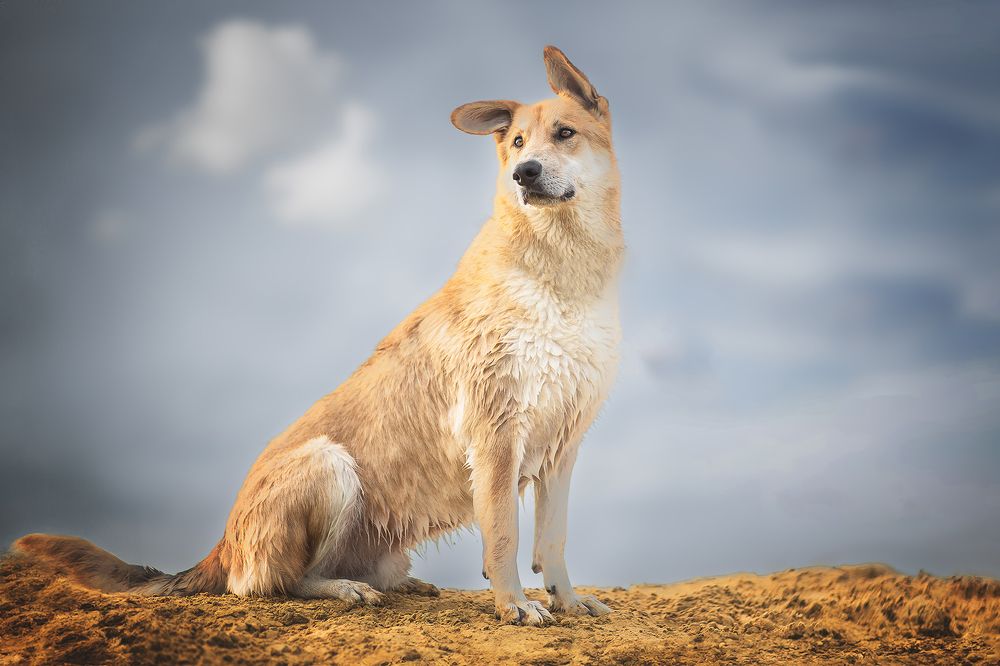 Photograph by Елена Самусенкова