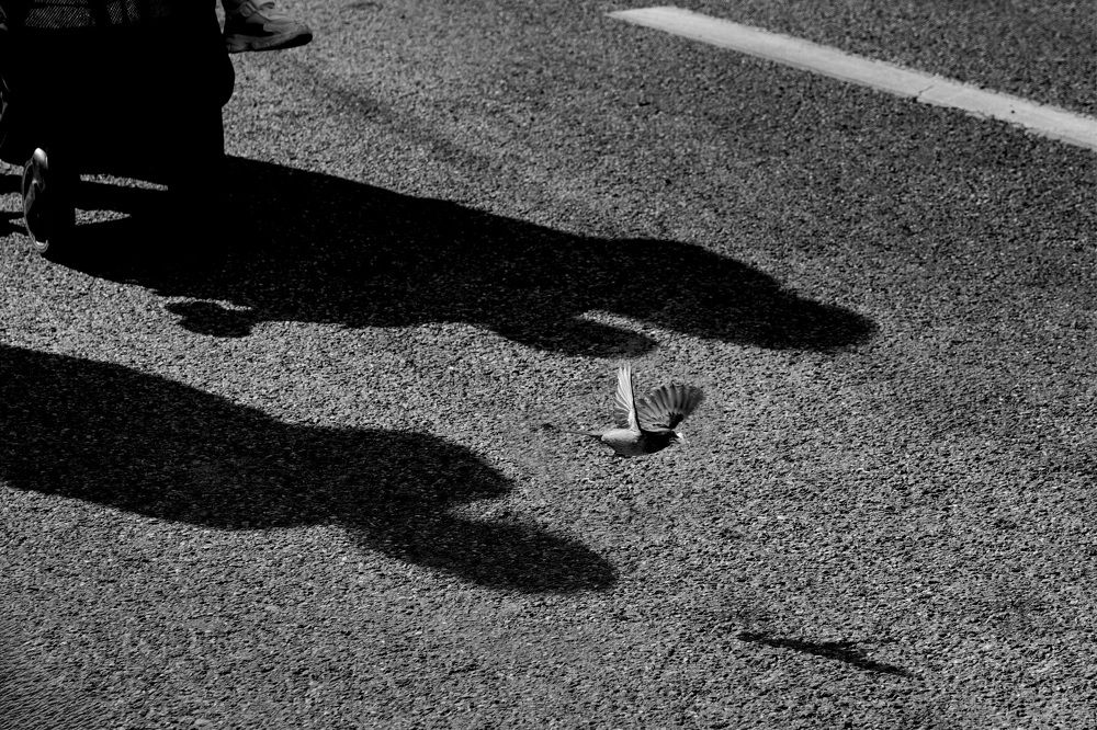 Photograph by Tatiana Alieva