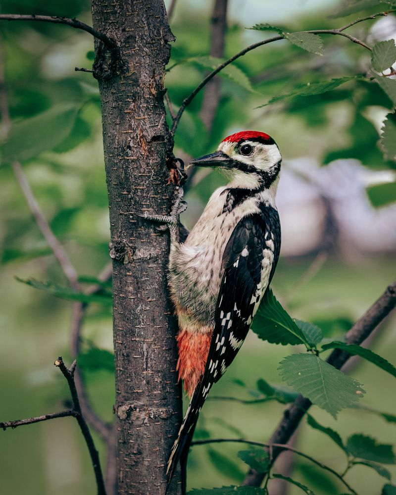 Photograph by Наталья Максимова