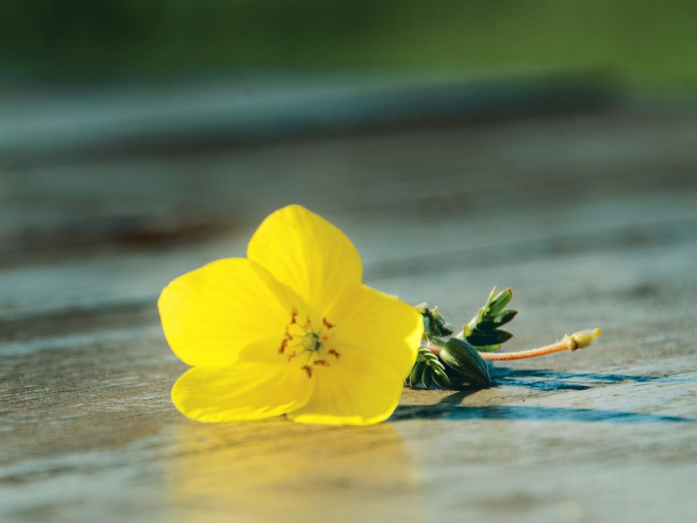 Photograph by Juan Javier Medina Pereira