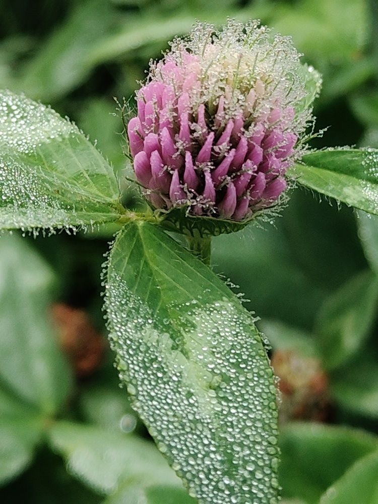 Photograph by Наталья Адалинская