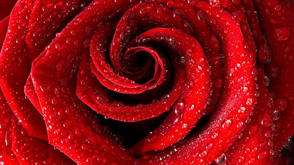 Фотография автора Nikita Prudnikov