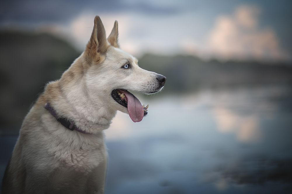 Photograph by Елена Самусенкова