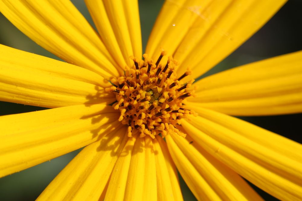 Photograph by Светлана Максимова