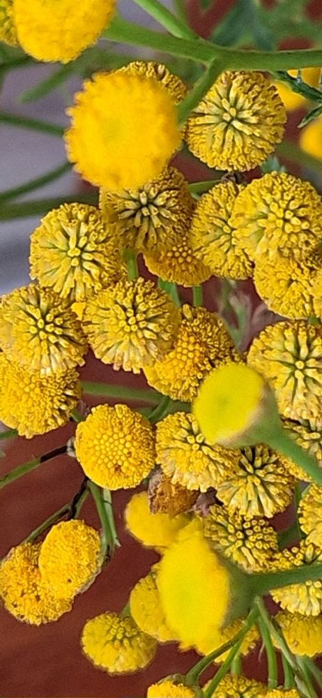 Photograph by Нина Старкова