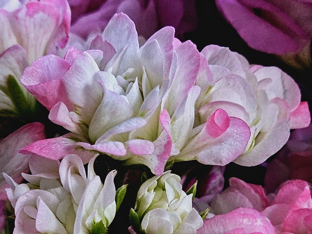 Photograph by Regina Malashuk