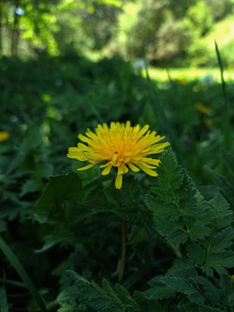 Photograph by Анастасия Никитюк