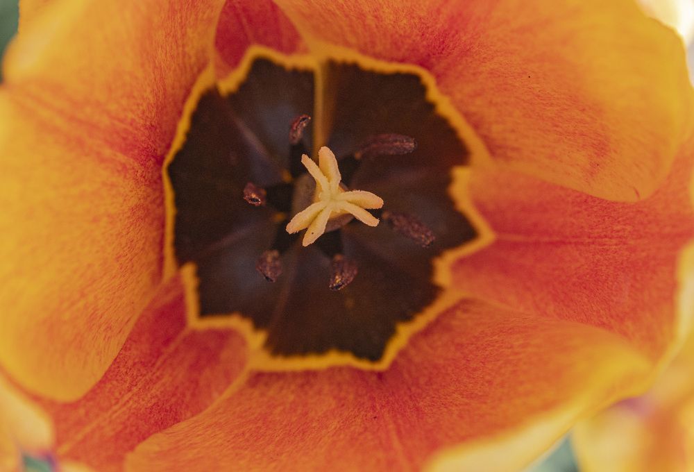 Photograph by Ольга Левакова