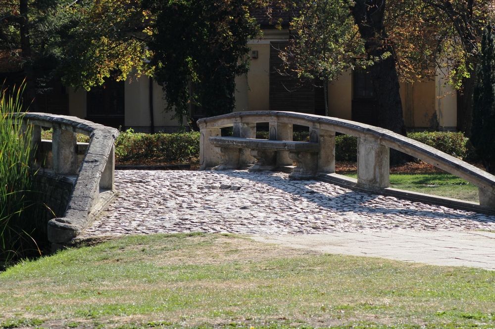 Photograph by Sándor Cseh