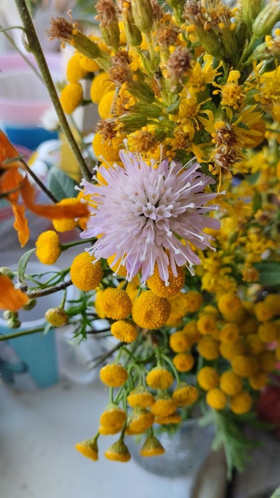 Photograph by Елена Малкова