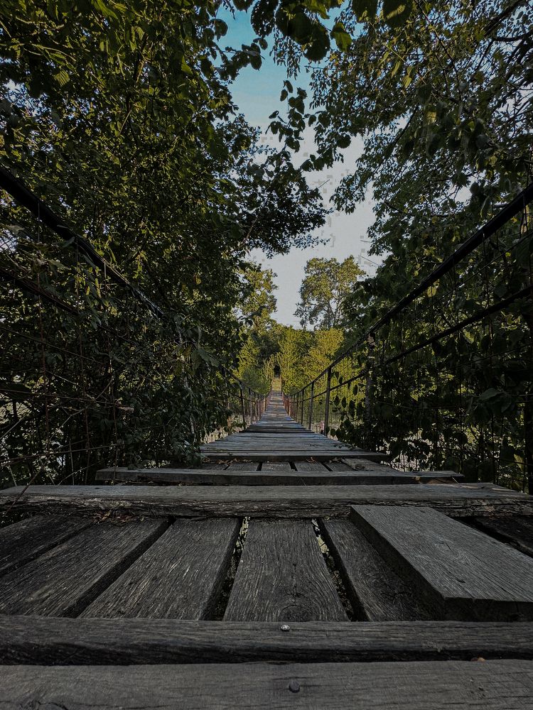 Photograph by Анна Петриенко