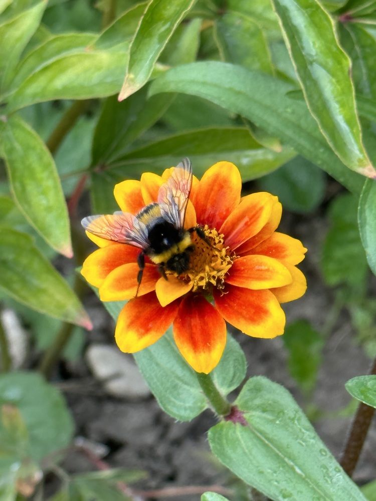 Photograph by Наталья Берон