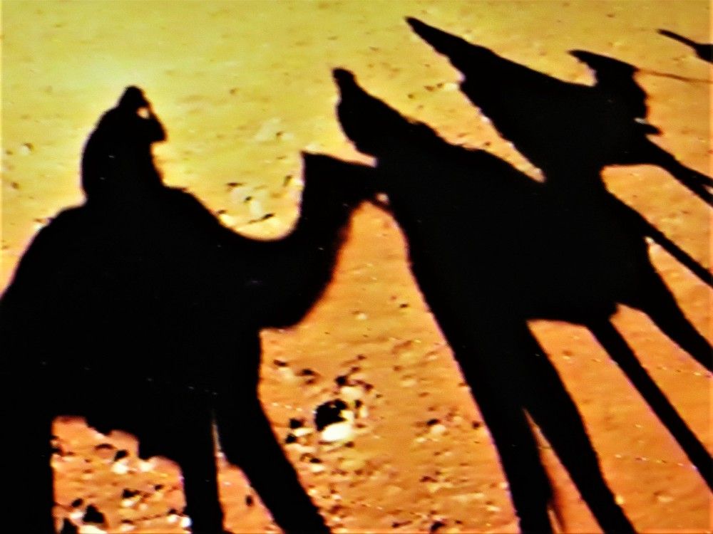 Photograph by Галина