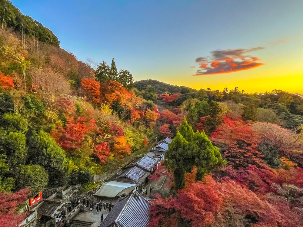 Фотография автора Kong SY