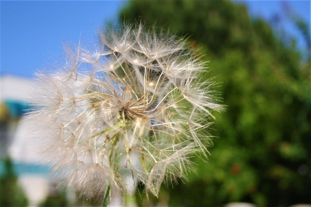 Photograph by Галина