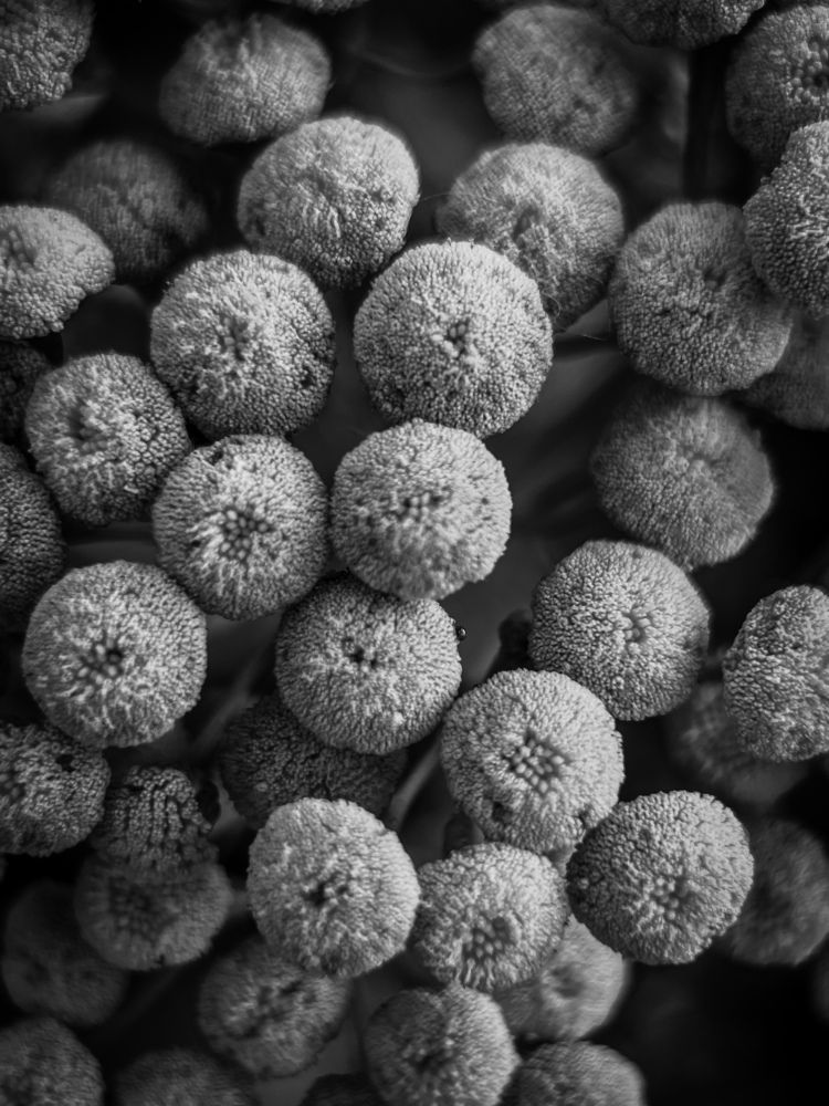 Photograph by Давыдова Алла