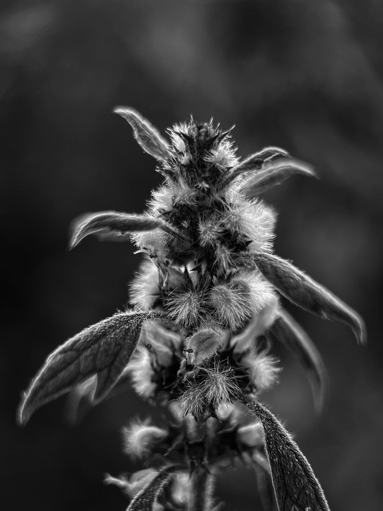 Photograph by Давыдова Алла