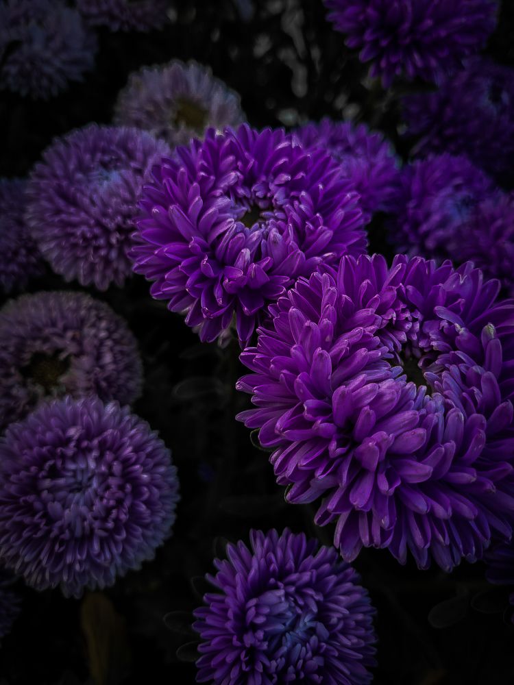 Photograph by Кристина Сысоева