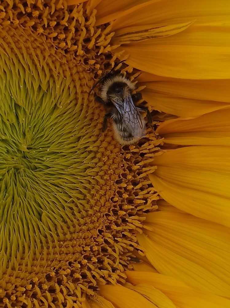 Photograph by Eлена Смирнова