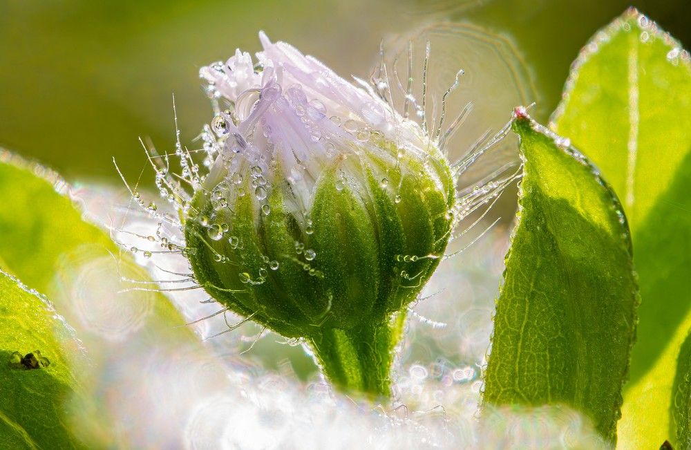 Photograph by Marianna Klein