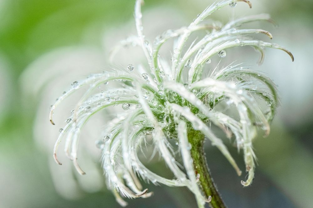 Photograph by Елена Быкова