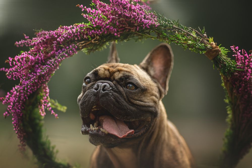 Photograph by Елена Самусенкова