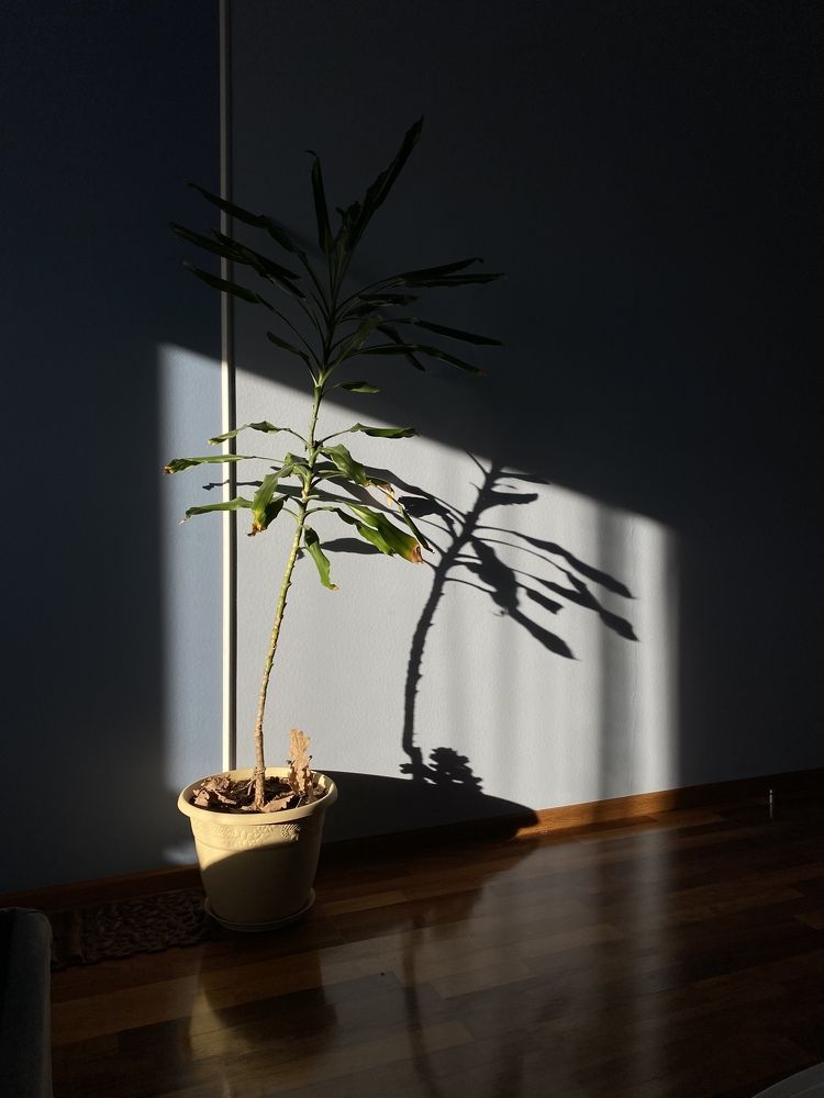 Photograph by Виктория Лаур