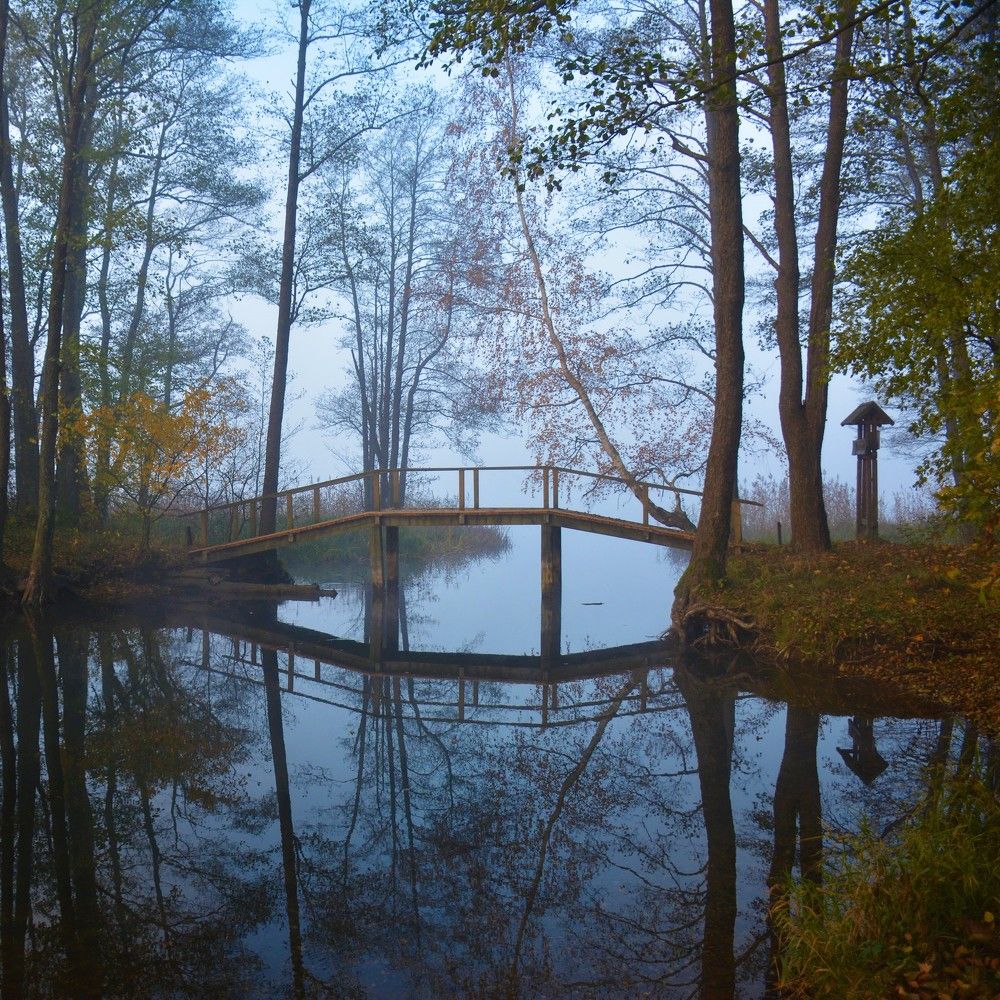 Фотография автора Linards Onzuls