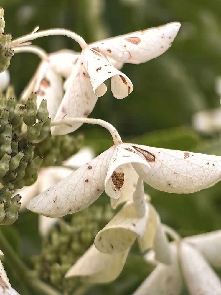 Photograph by Елена Акимова