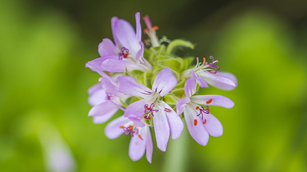 Photograph by Andrei Sabanov