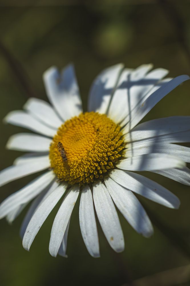 Photograph by Andrei Sabanov