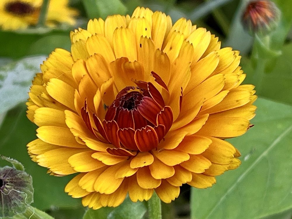 Photograph by Ирина Селиверстова