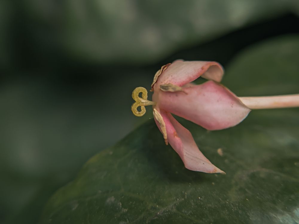 Photograph by Nomesh Patel