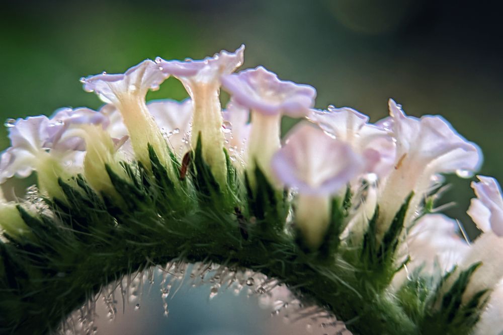 Photograph by Nomesh Patel