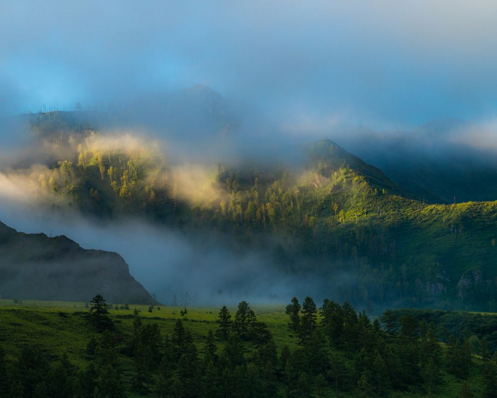 Фотография автора Evgeny Shlomov