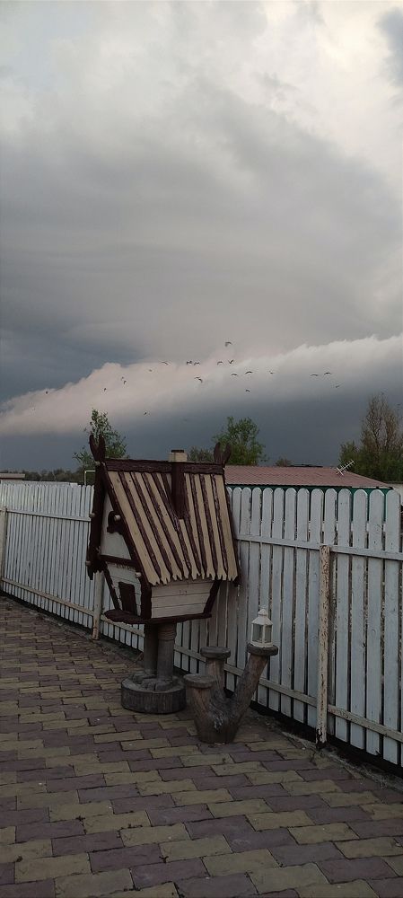 Фотография автора Васильева Ирина