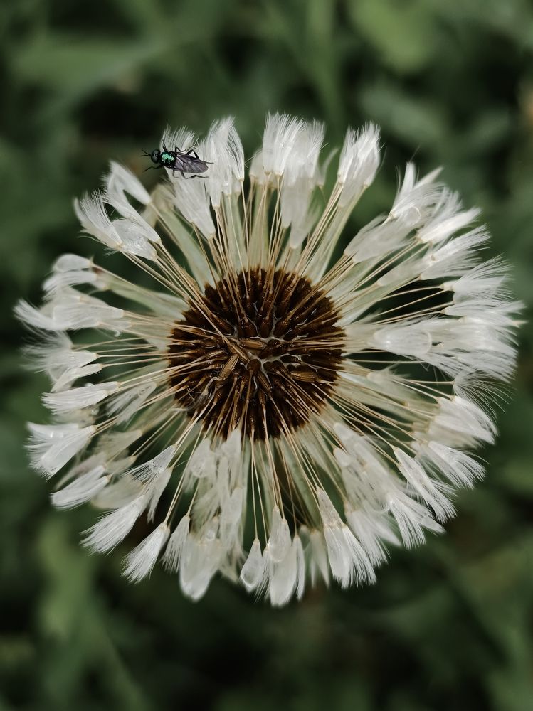 Photograph by Margarita Presidentova