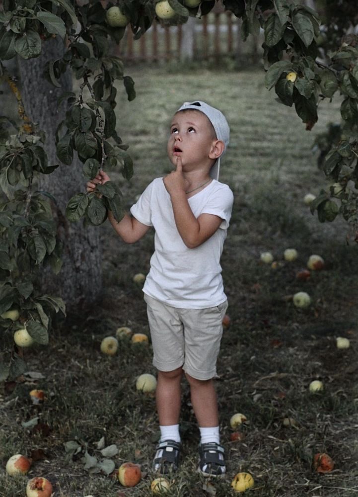 Photograph by Елена Дмитрович