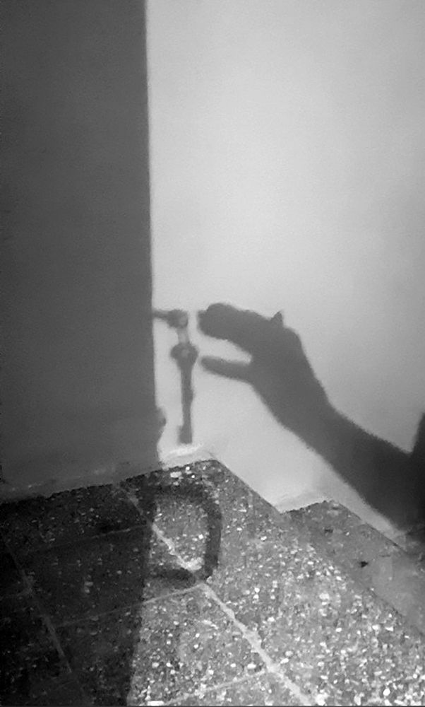 Photograph by Ирина Вдовенко