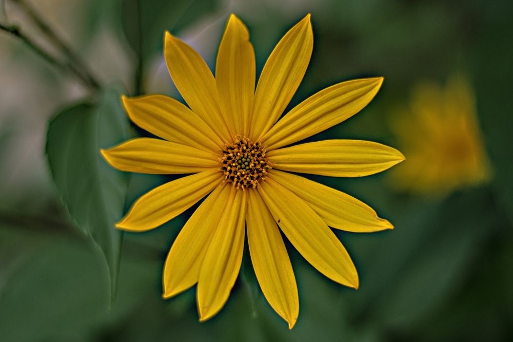 Photograph by Наталья Ситова