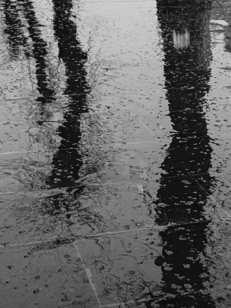 Photograph by Margarita Presidentova