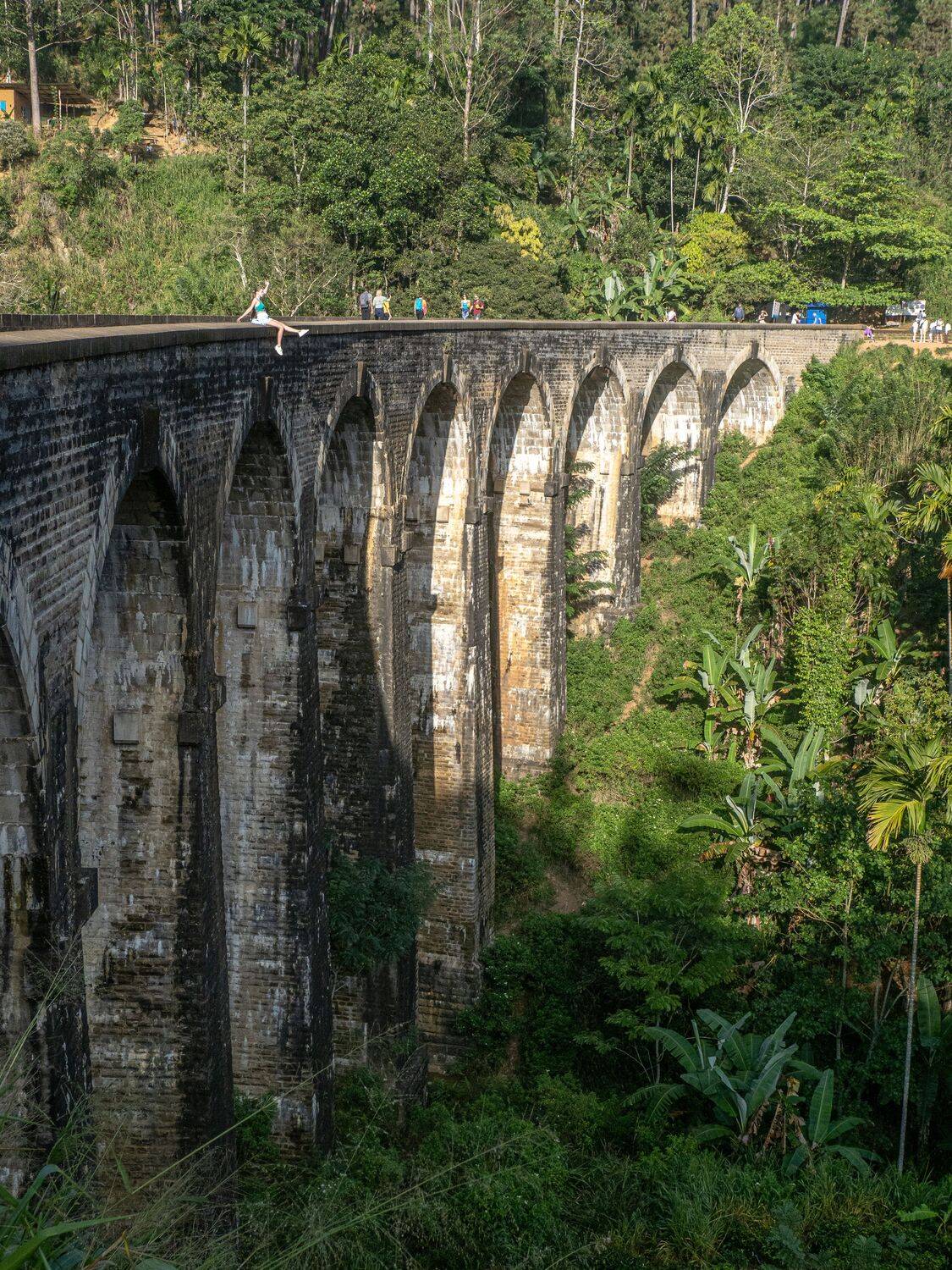 Фотография #10992209