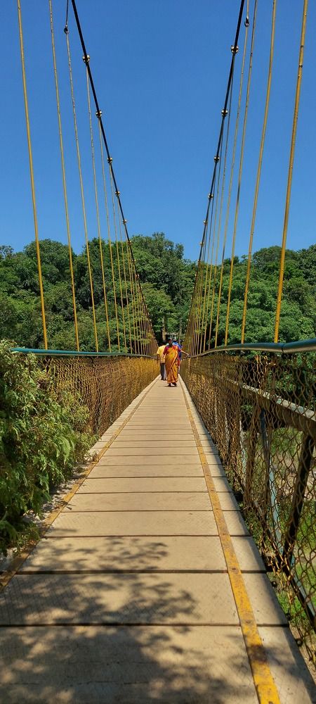 Photograph by Pradyumna K P