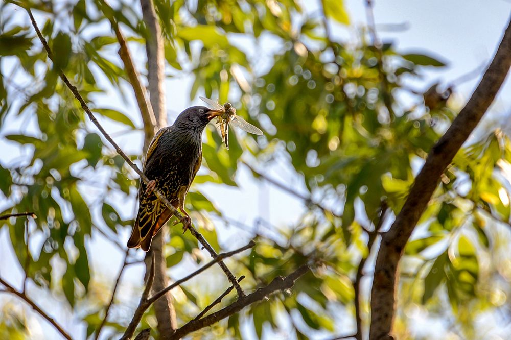 Photograph by Александр Шипиленко
