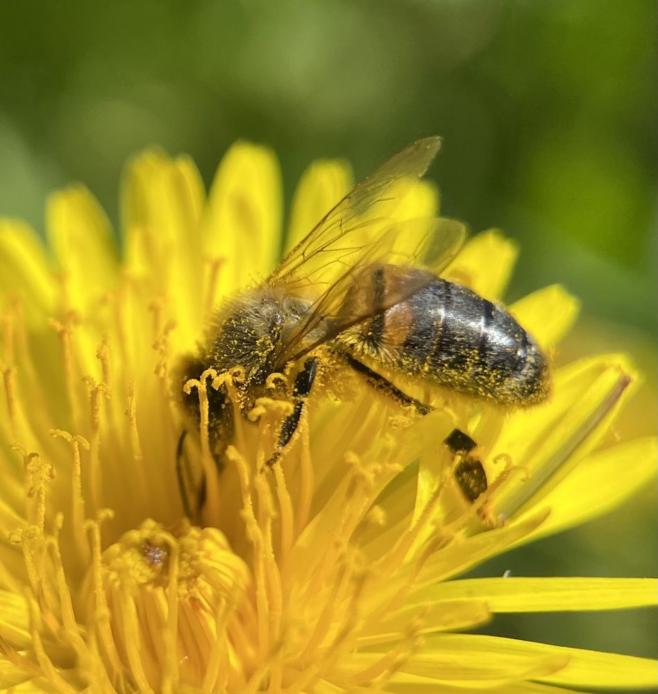 Photograph by Анастасия Бардыкина