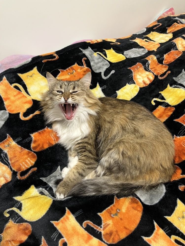 Photograph by Анастасия Бардыкина