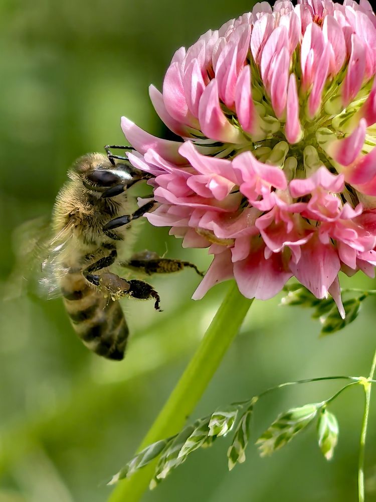 Photograph by Анна Епанчинцева