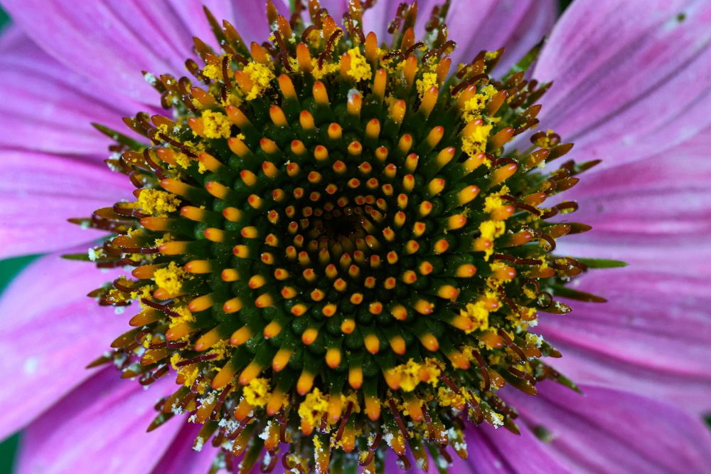 Photograph by Борис Лишневский