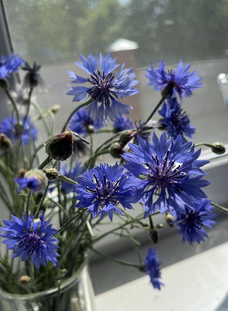 Photograph by Анастасия Бардыкина